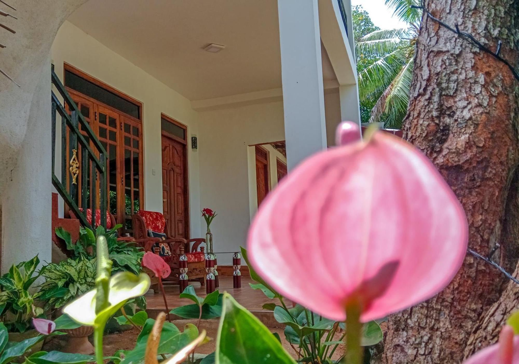 Gimhana Homestay 시기리야 외부 사진